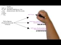 NWEA MAP Growth Metrics Explained