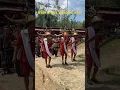 Download Lagu Babi pada Upacara adat di Toraja