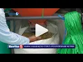 Download Lagu HARGA GABAH KETAN TURUN, PETANI BERALIH KE PADI. BULOG SERAP GABAH PETANI BERAS.