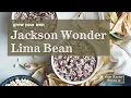 Sow Right Seeds Jackson Wonder Lima Bean