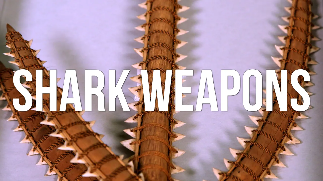 Shark Weapons