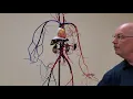 Professor Long 2402 Wireman Arteries