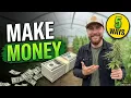 5 Cannabis Jobs That Pay Up to 250 000