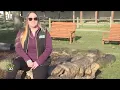 2024 Summer Camps at Woldumar Nature Center