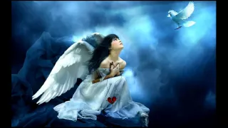 سجن النسا تامر كروان 