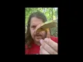 Boletus Sensibilis vs Baorangia Bicolor