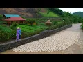 Download Lagu Smart Off-Grid Farm: Stone Flood Walls, Free-Range Ducks \u0026 Organic Garden