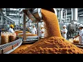 How Brown Sugar is Made in Factory