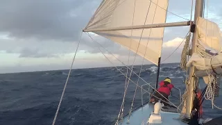 Getting Knocked Down— Sailing Uma  [Step 103]