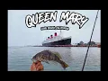 Ep We launched our yaks by The Queen Mary Long Beach Ca Bonito