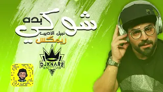 نبيل الاديب   ريمكس   شوكي بده  دي جي كناري            دندنها