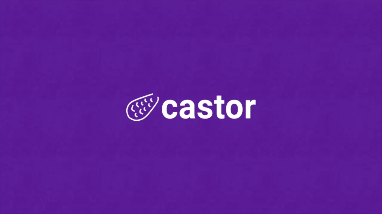 Castor 2022 demo
