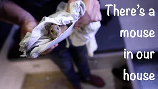 There’s a mouse in our house – Episode 24