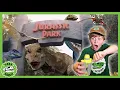 Download Lagu Jurassic Park GIANT T-Rex! | T-Rex Ranch Dinosaur Videos