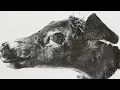 Mount Kimbie - Blue Train Lines (Official Video) ft. King Krule