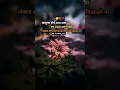 Download Lagu जादूगर रोने लगा जब sad 😔 😟 shayri ❤️ 😍 WhatsApp status ##video ## youtubeshorts ## trending video