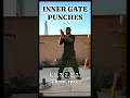 Download Lagu KUNGFU TIPS: Inner Gate Punches