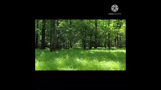 الحمد لله الذي تواضع كل شئ لعمظته    دندنها