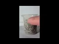 ESC101 GW Porosity Pebbles