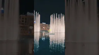 انا قلبي حبيب قلبي و دلعته 