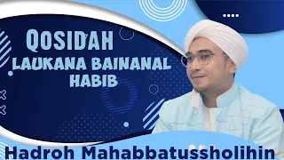 Download Qosidah Laukana Bainanal Habib || Hadroh Mahabbatussholihin MP3