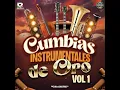 La Cumbia de los Pajaritos