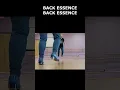 Level 2 2 - Back Essence Combination