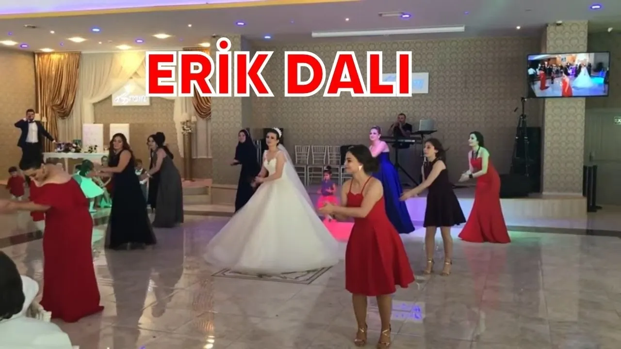 Ömer Faruk Bostan - Erik Dalı (Gelin ve Arkadaşlarının Erik Dalı Oyunu) | Sizden Gelenler Ömer Faruk Bostan - Erik Dalı (Gelin ve Arkadaşlarının Erik Dalı Oyunu) | Sizden Gelenler