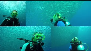 Last dive this season