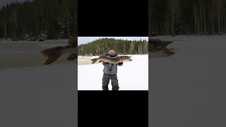 АНЕКДОТ ПРО РЫБАЛКУ Shorts рекомендации рыбалка рек Shorts анекдоты природа 