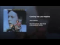 Coming into Los Angeles - Arlo Guthrie