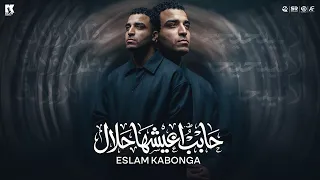حابب اعيشها حلال   مشيت يمين مشيت شمال   اسلام كابونجا   البوم العيد        دندنها