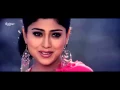 Download Lagu Tumhara Tumhara Sanam - Shukriya (2004) HD♥