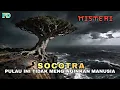 Lagu Pulau Socotra‼️Tempat Paling Aneh di Bumi yang Seolah Bukan dari Dunia Ini!