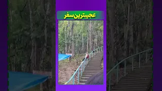 این عجیترین سفری بودک رفت 