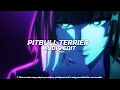 Lagu Pitbull Terrier (tiktok version) - Die Antwoord [edit audio]