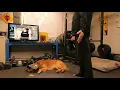 P90X Stretch