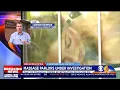 Search warrants executed at 3 Chesterfield massage parlors