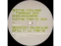 Download Lagu Lexicon Avenue ‎– Why R U Here (The Hard Mix)