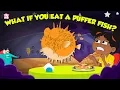 Deadliest Fish What Happens if You Eat a Pufferfish World s Most Poisonous Fish Dr Binocs