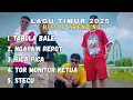 Lagu LAGU TIMUR HITS \u0026 TRENDING 2025 | TABOLE BALE - NGAPAIN REPOT - PICA PICA 