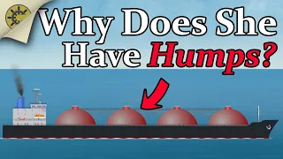 Why Do Gas Carriers Have These Humps?