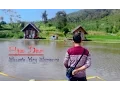 Download Lagu Hijau Daun - Sesuatu Yang Sempurna Lirik