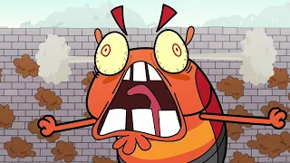 buck and buddy roll with it funny bug cartoon