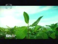 Indosiar La Menthol 21 33 (13/03)