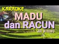 Download Lagu MADU DAN RACUN / Ari Wibowo /Karaoke