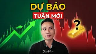 CHIA SẺ DỰ BÁO THỊ TRƯỜNG TUẦN NÀY 16/8: CHỨNG KHOÁN MỸ VÙNG ĐỈNH, GIÁ VÀNG VÀ VN-INDEX SẼ RA SAO?