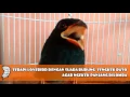 Lagu Terapi Lovebird Dengan Suara Burung Tengkek Buto Agar Ngekek Panjang Dilomba