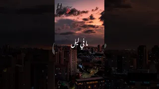 مافي ليل يجاري ليلي مافي ليل ناصيف زيتون رحمة رياض ما في ليل Shorts 