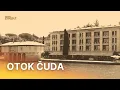 Download Lagu Slonica poklon Indire Gandhi, papiga Koki, Tito i Elizabeth Taylor | RTL Direkt